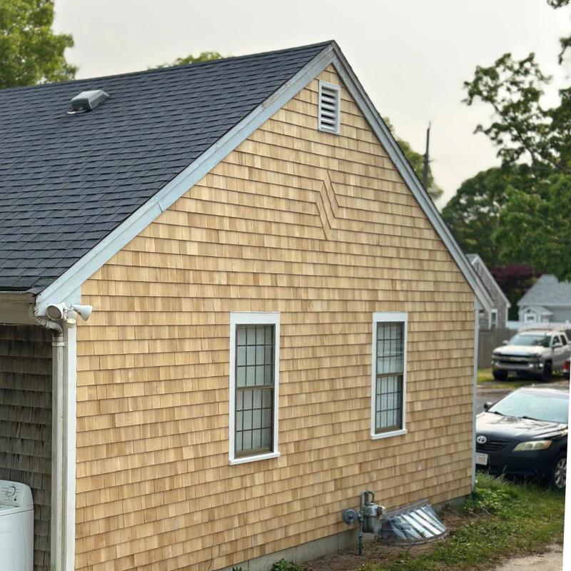 Painting Services (1)